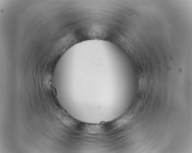 X0000089430671200706291315