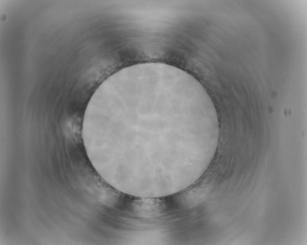 X0000089430672200706291316