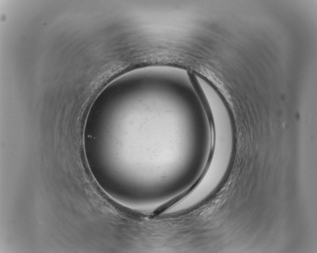 X0000089430673200706291315