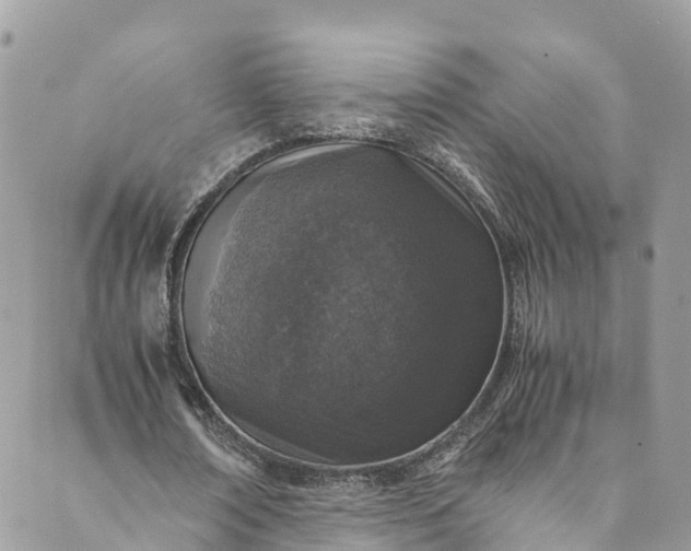 X0000089430674200706291315