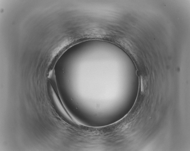 X0000089430675200706291315