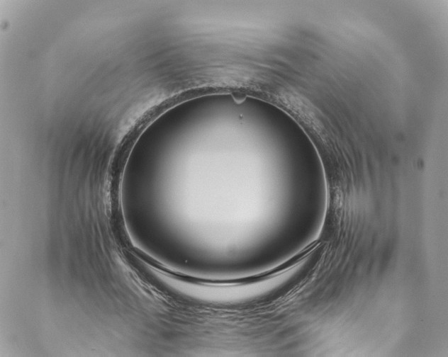 X0000089430676200706291315