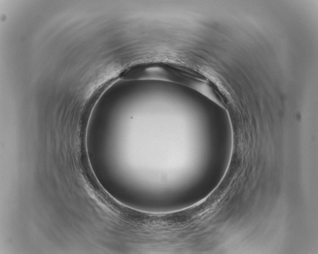 X0000089430677200706291315