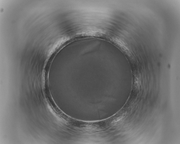 X0000089430678200706291315