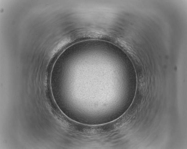 X0000089430679200706291315