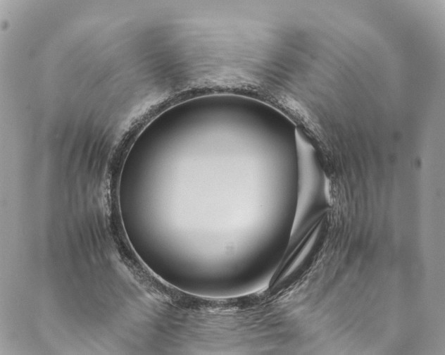 X0000089430680200706291315