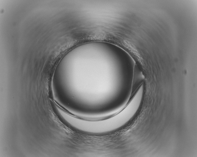 X0000089430681200706291315