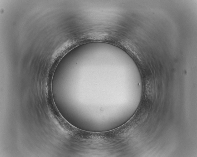 X0000089430682200706291315