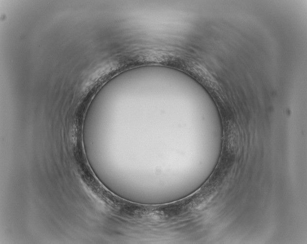 X0000089430683200706291315