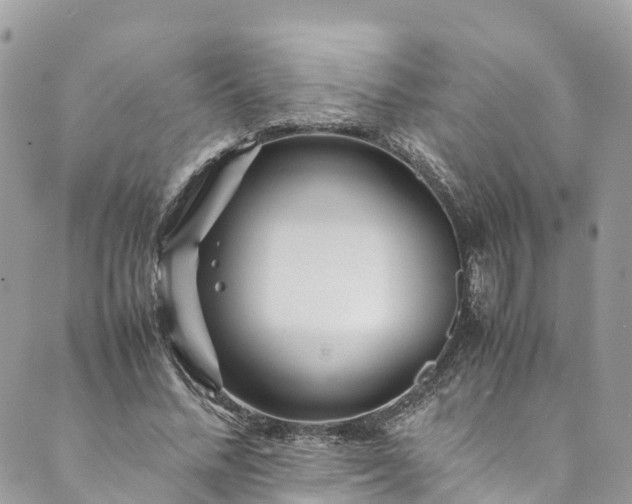 X0000089430684200706291315