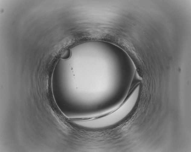 X0000089430685200706291315