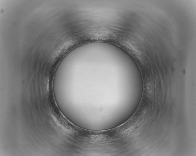 X0000089430686200706291315