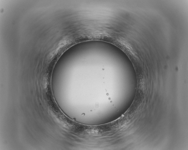 X0000089430687200706291315