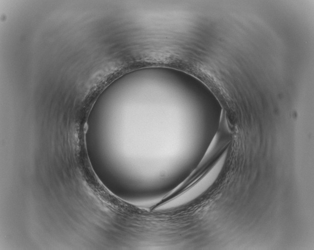 X0000089430688200706291314