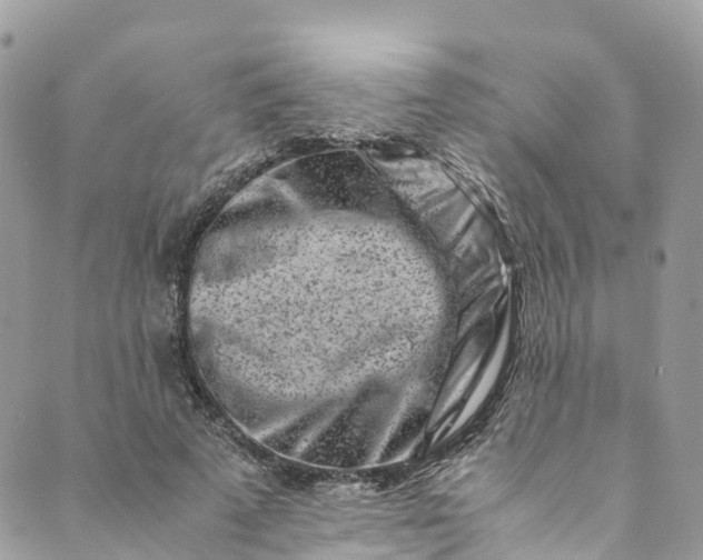 X0000089430689200706291314