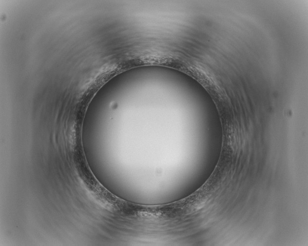 X0000089430690200706291314