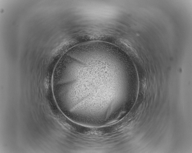 X0000089430691200706291314