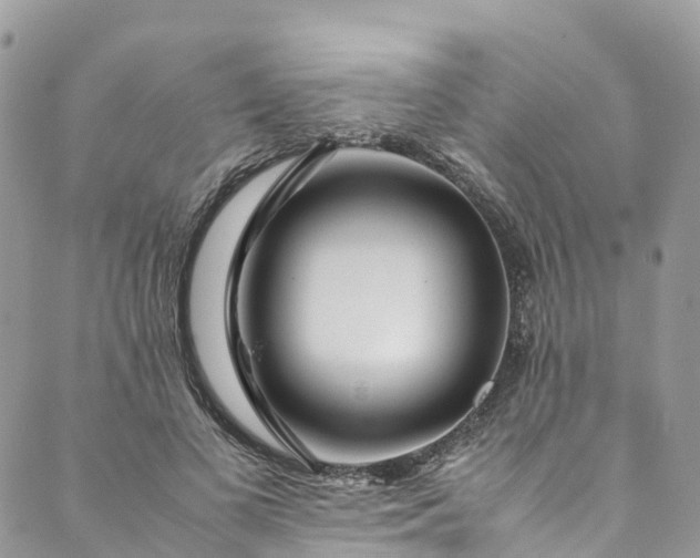 X0000089430693200706291314