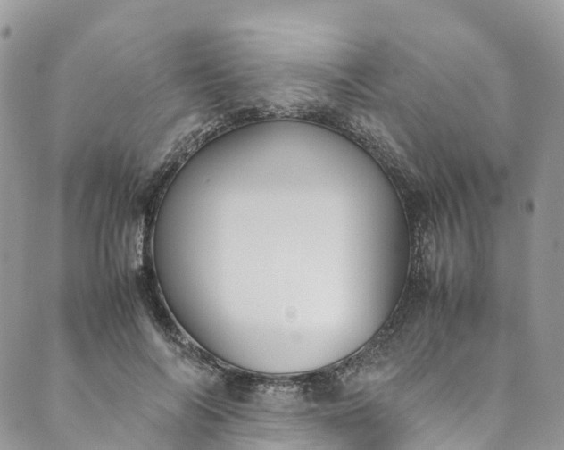 X0000089430694200706291314