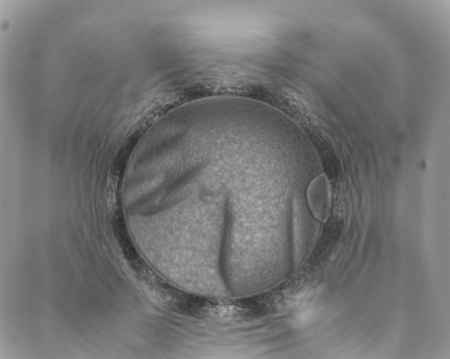 X0000089430695200706291314