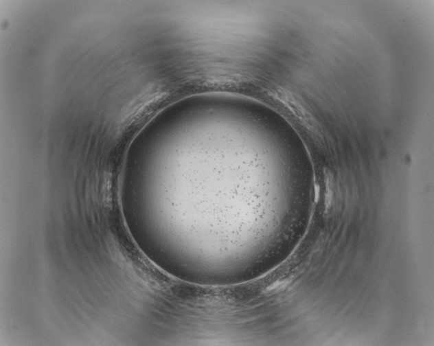 X0000089430696200706291314