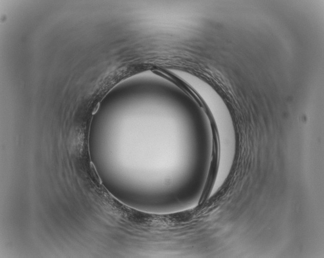 X0000089430697200706291314