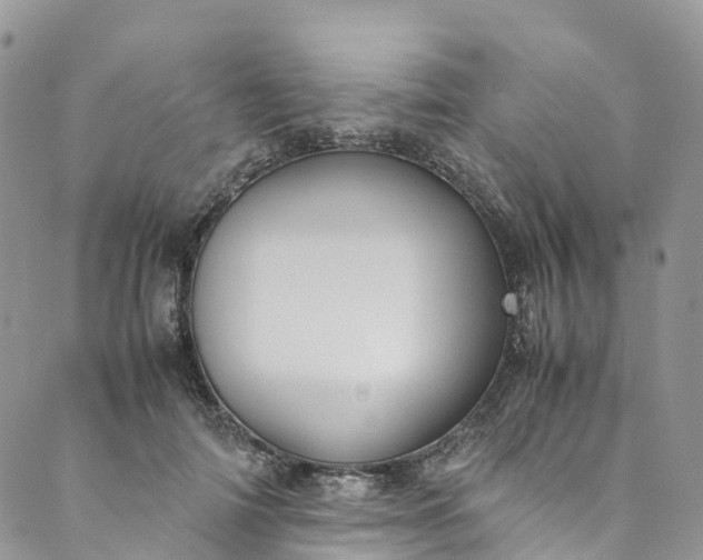 X0000089430698200706291314