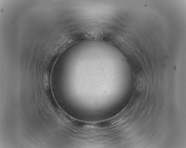 X0000089430699200706291314