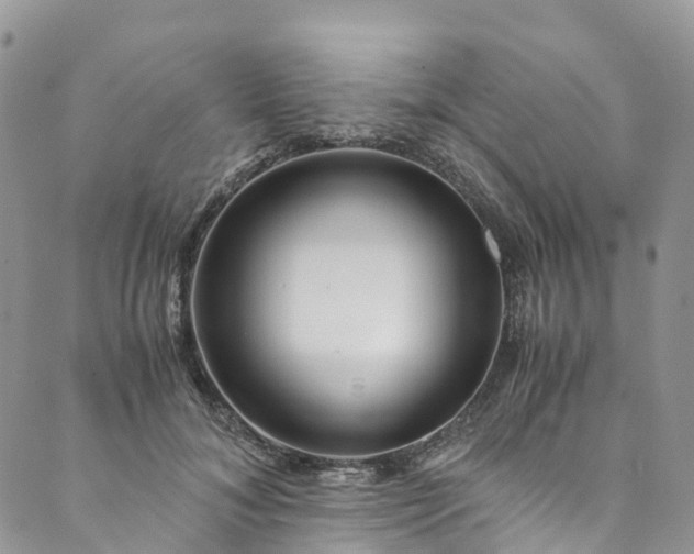 X0000089430700200706291314