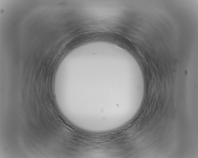 X0000089430701200706291314