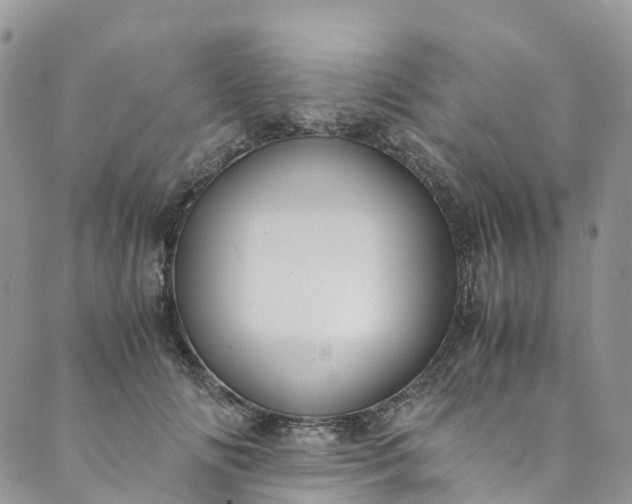 X0000089430702200706291314