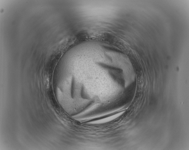 X0000089430703200706291314