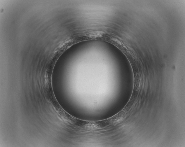 X0000089430704200706291314