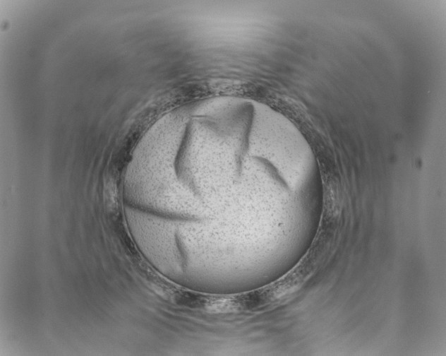 X0000089430705200706291314