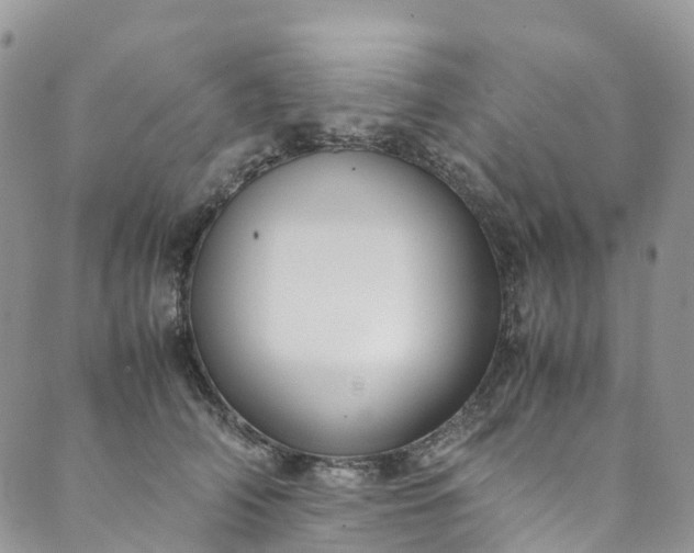 X0000089430706200706291314