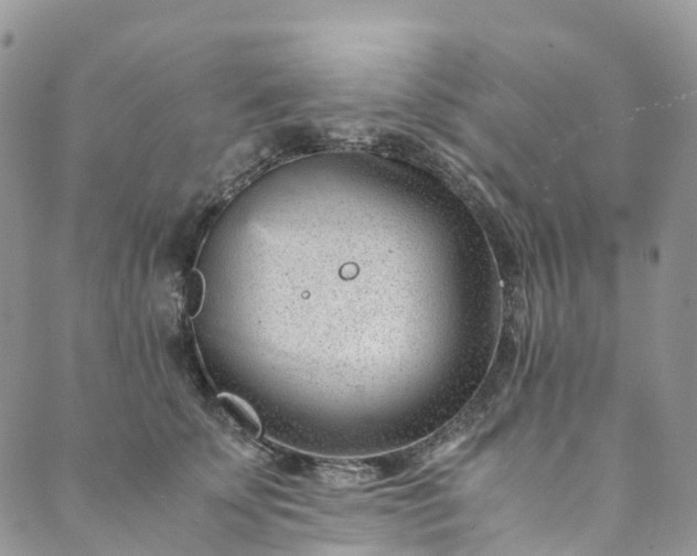 X0000089430707200706291314