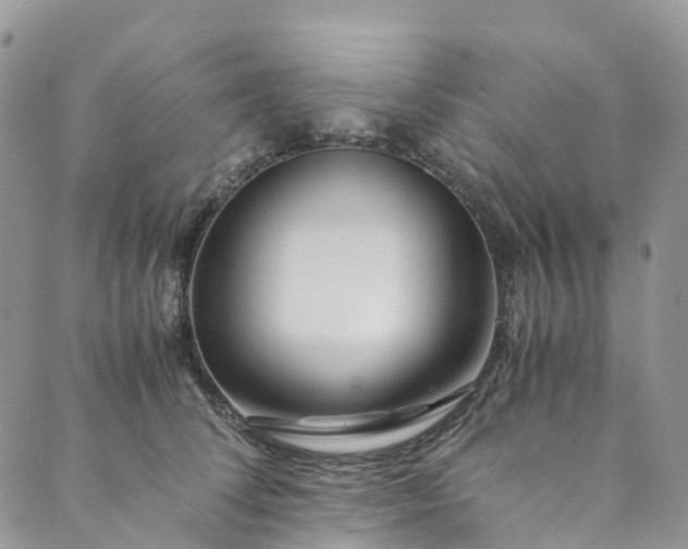 X0000089430708200706291314