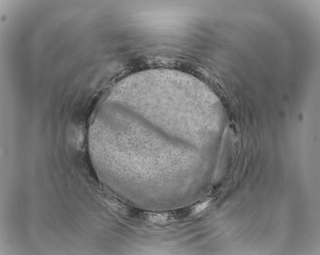 X0000089430709200706291314