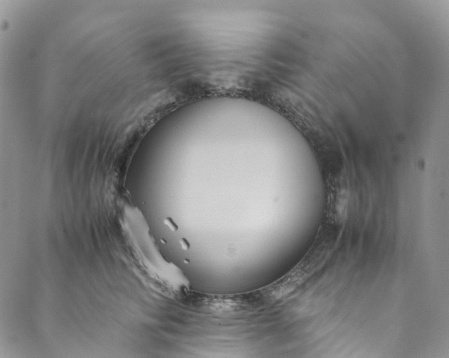 X0000089430710200706291314