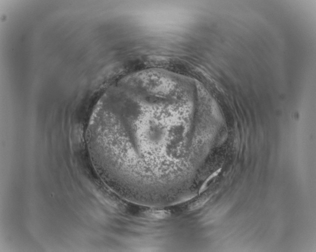 X0000089430711200706291314