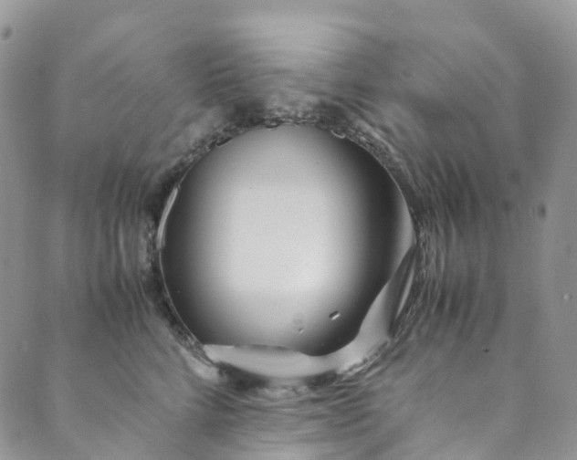 X0000089430712200706291314