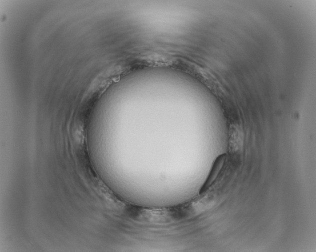 X0000089430713200706291314