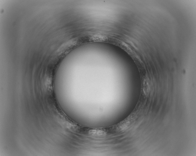 X0000089430714200706291314