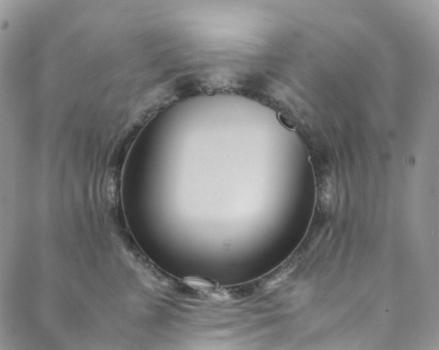 X0000089430715200706291314