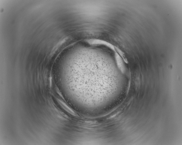 X0000089430716200706291314