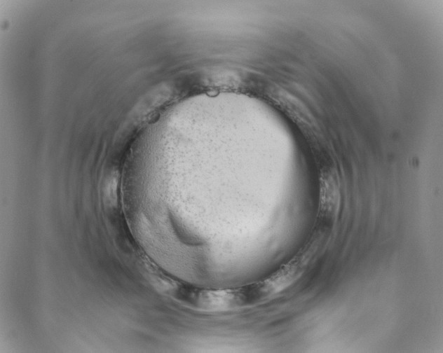 X0000089430717200706291314