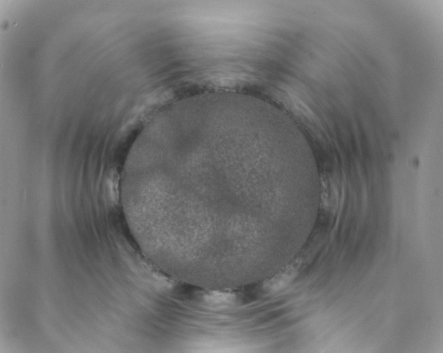 X0000089430718200706291314