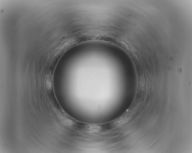 X0000089430719200706291314