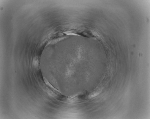 X0000089430720200706291314