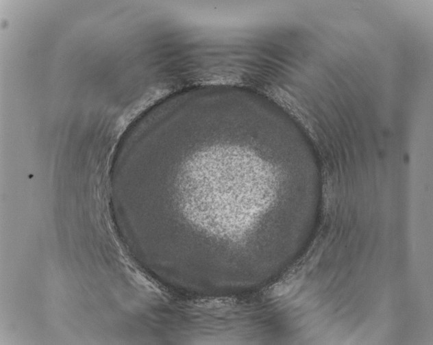 X0000089430721200706291313